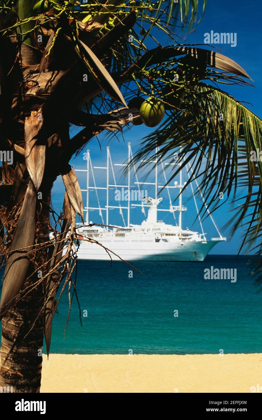 Una barca sta navigando su un mare calmo, le Grenadine Foto Stock