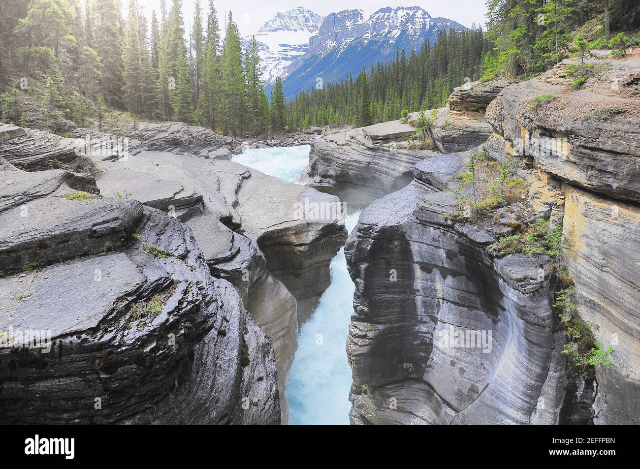 Insenatura con acqua pura nel profondo canyon. Canyon di Mistaya. Parco nazionale di Banff. Alberta. Canada. Foto Stock