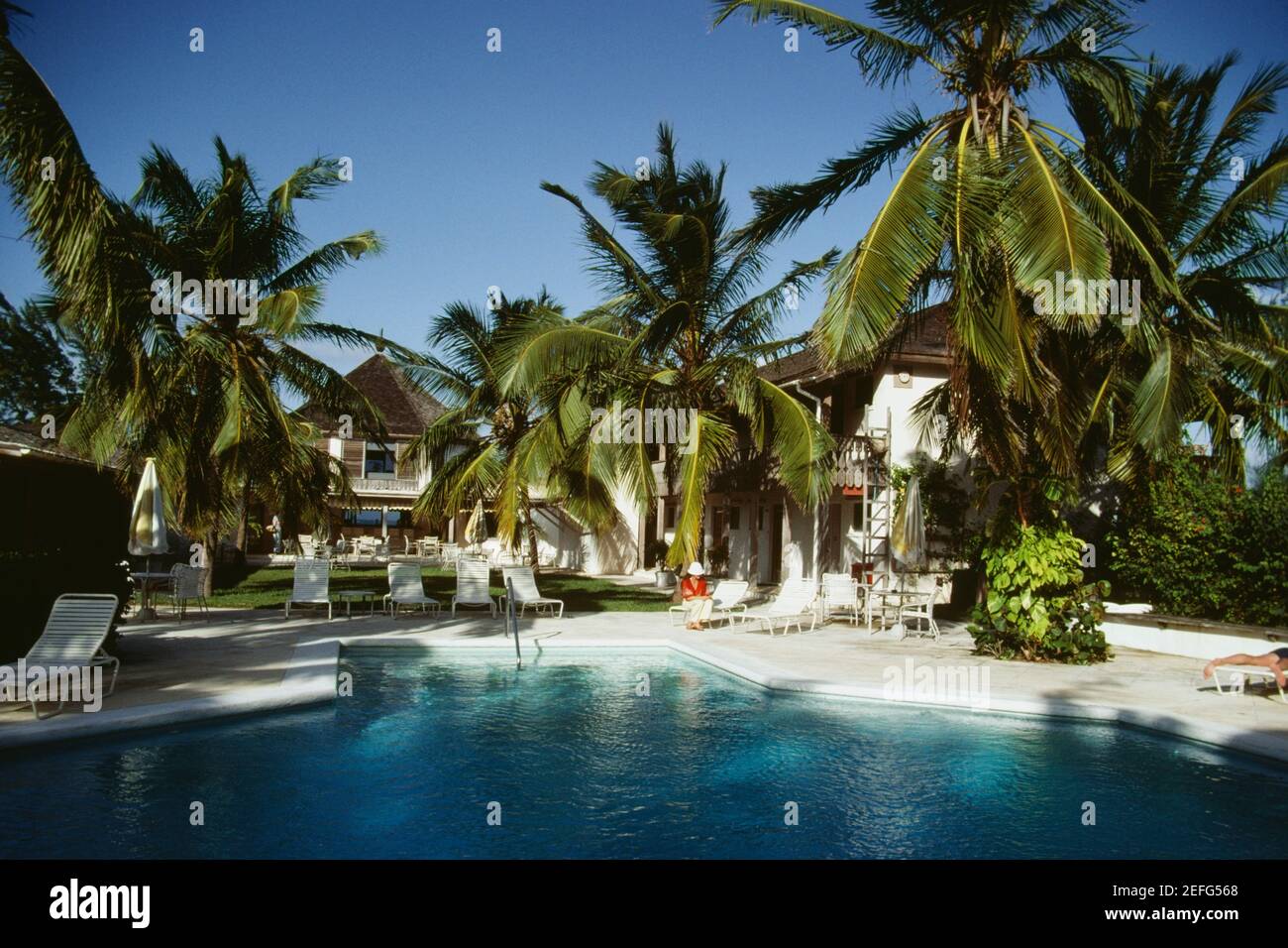 Palme accanto a una piscina chiara in una giornata di sole, Eleuthera, Bahamas Foto Stock