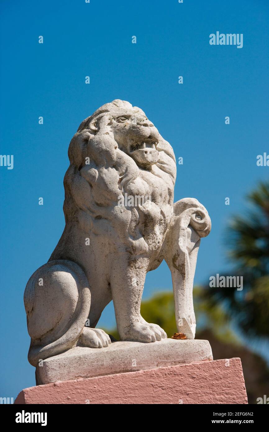 Vista ad angolo basso della statua di un leone, St Augustine, Florida, USA Foto Stock