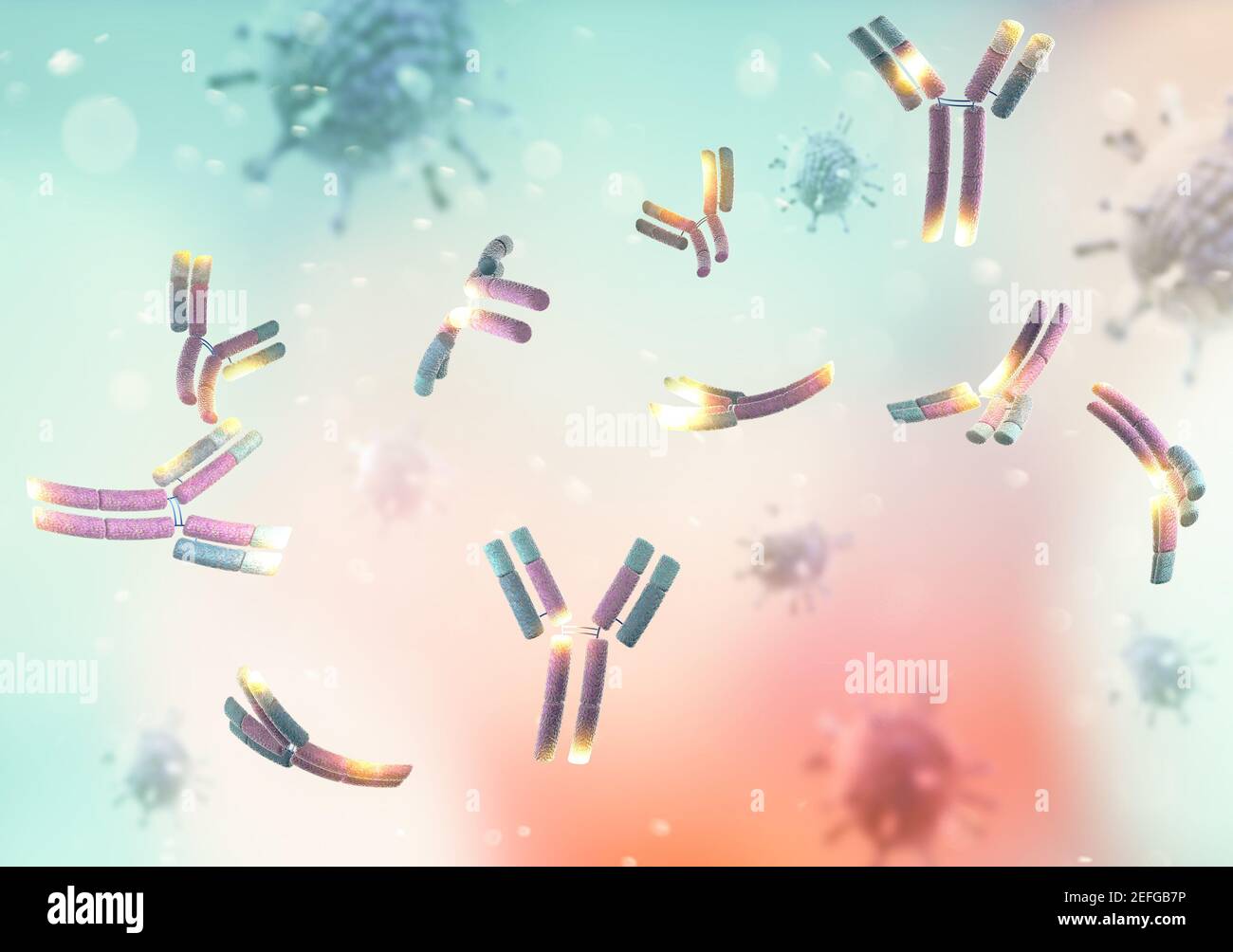 Un anticorpo monoclonale (mAb o Moab) è un anticorpo prodotto clonando un unico globuli bianchi. Coronavirus. Covid-19. Virus Foto Stock