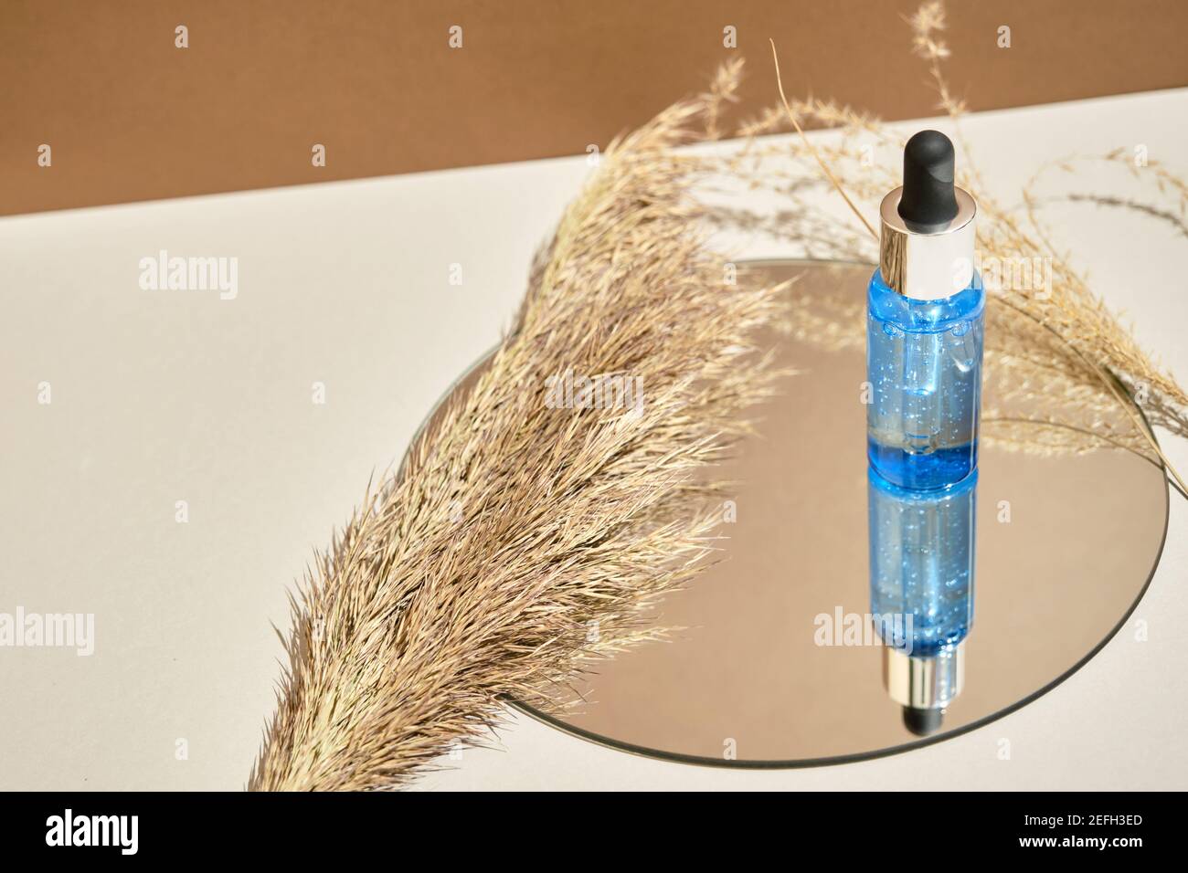 Una bottiglia di siero si trova su uno specchio rotondo con rami di fiori secchi. Stile Wabisabi, tonalità terra. Mockup di composizione cosmetica per la cura della pelle Foto Stock