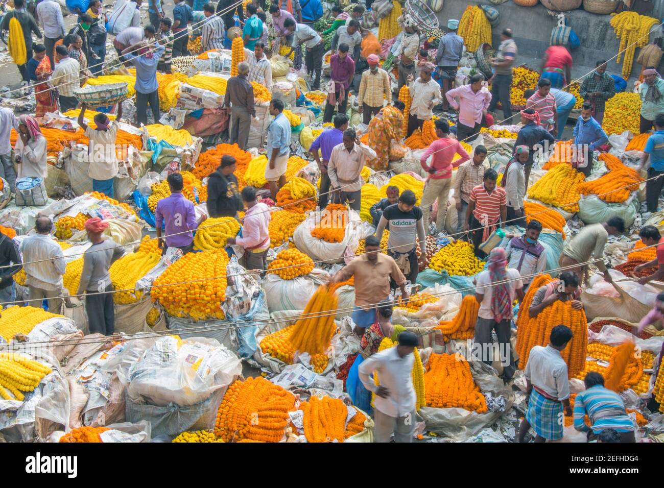 Foto del mercato dei fiori all'ingrosso di Kolkata. Il più grande mercato dei fiori dell'Asia vicino a Mallick Ghat a Kolkata. Milioni di coltivatori di fiori vengono qui. Foto Stock