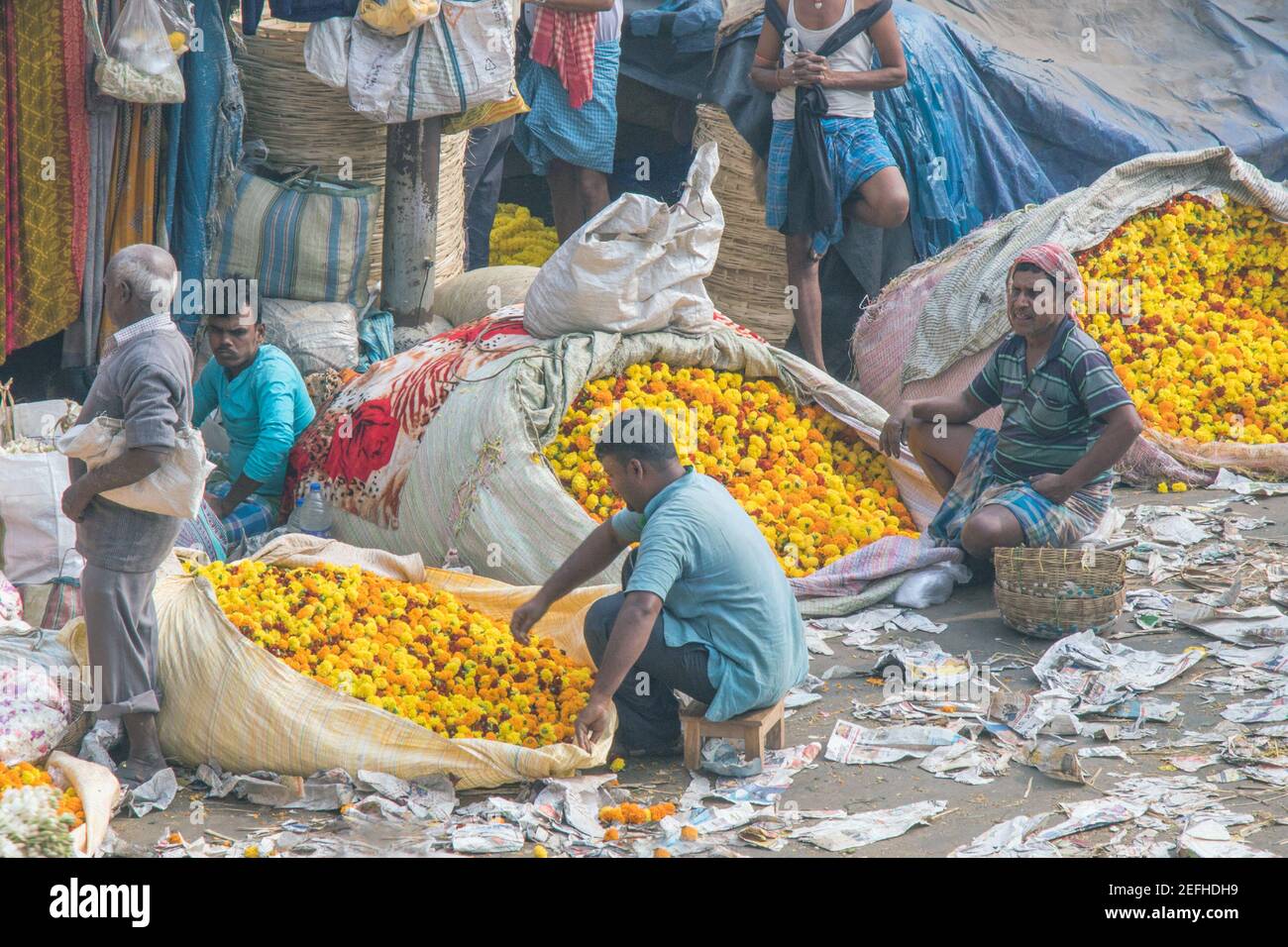 Foto del mercato dei fiori all'ingrosso di Kolkata. Il più grande mercato dei fiori dell'Asia vicino a Mallick Ghat a Kolkata. Milioni di coltivatori di fiori vengono qui. Foto Stock