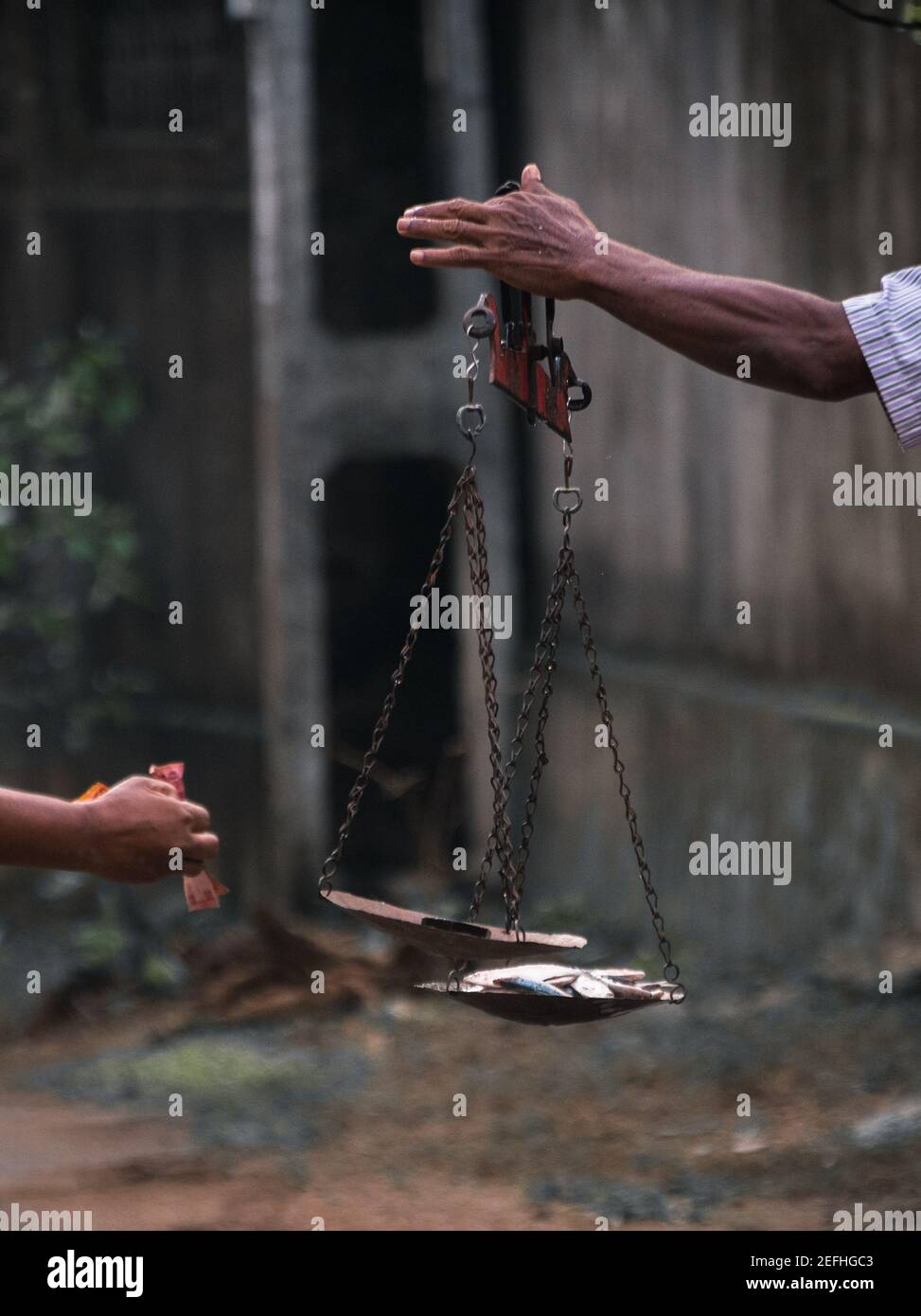 I pescatori tengono a mano una scala, equilibrando il pesce e il peso, il modo tipico di misurare il peso del pesce nelle principali parti dello Sri Lanka. Foto Stock