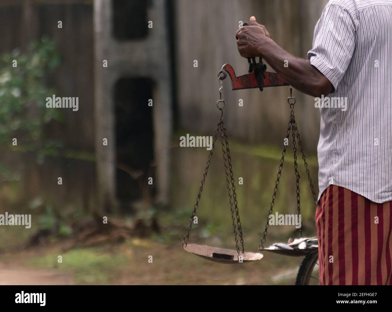 I pescatori mano tenendo una scala, equilibrando il pesce e il peso primo piano foto, il tipico modo di misurare il peso del pesce nelle principali parti dello Sri la Foto Stock