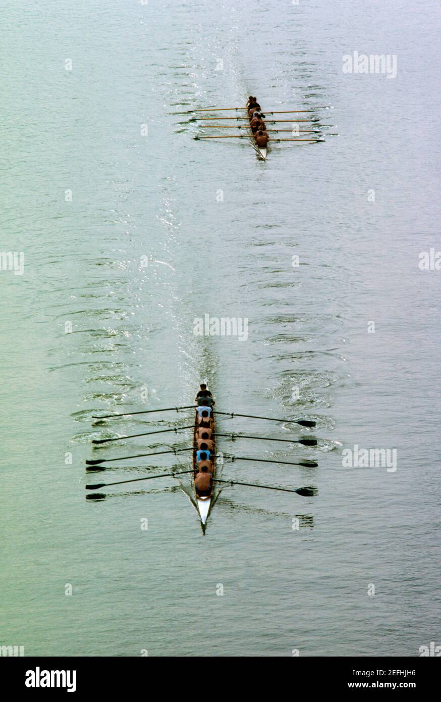 Vista aerea della squadra di canottaggio che pratica sul fiume, Potomac River, Georgetown University, USA Foto Stock