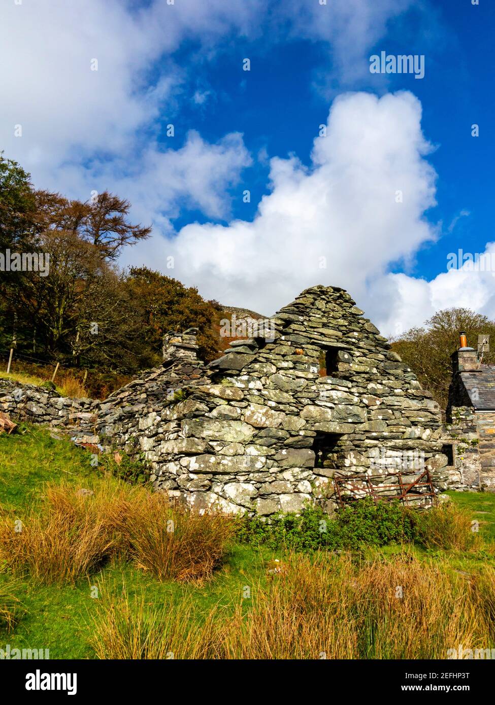 Rovine di casa nel paesaggio di Upland a Gellfa Gellfechan vicino a Barmouth in Gwynedd Nord Ovest Galles UK vicino alla famosa passeggiata Panorama. Foto Stock