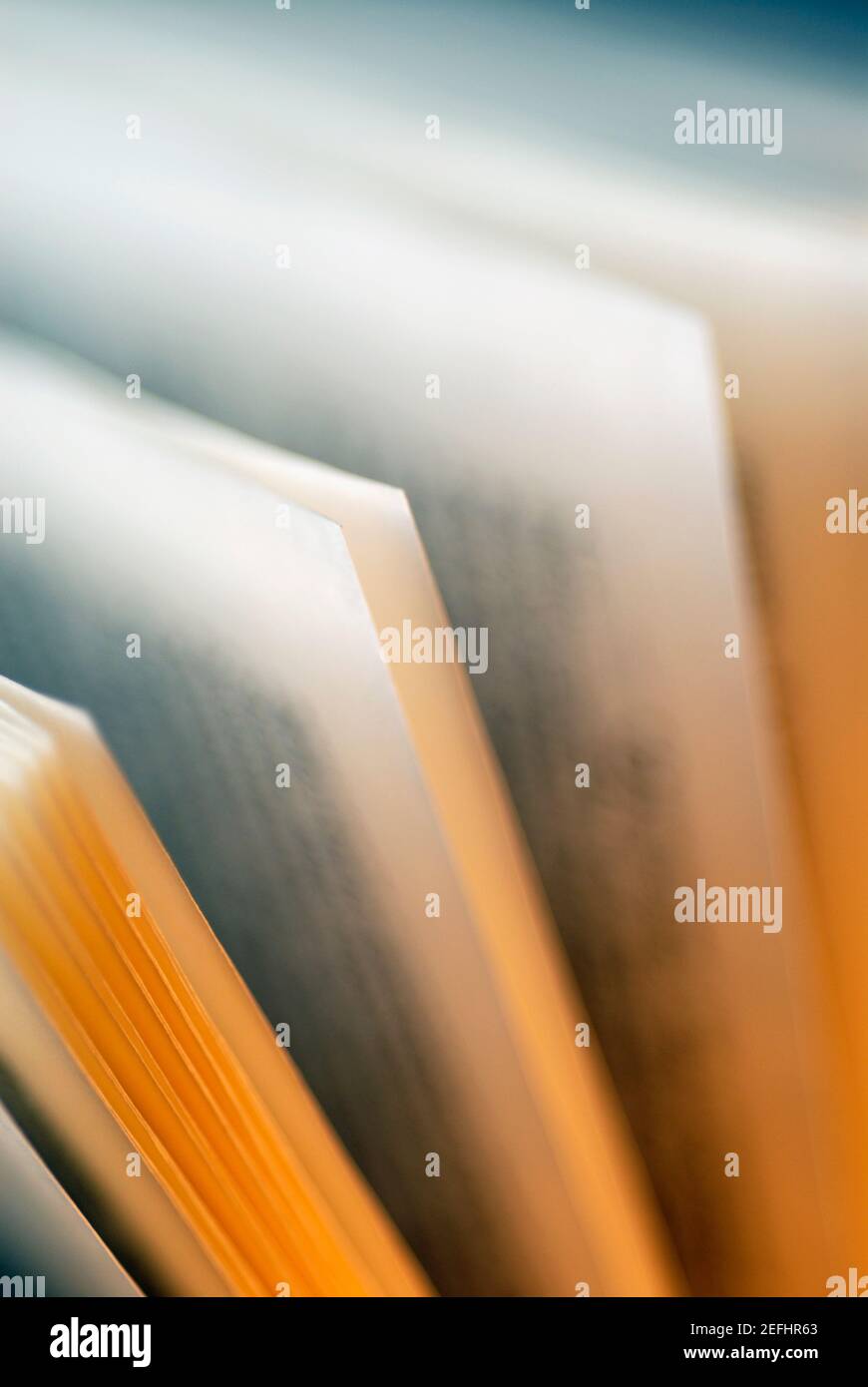 Close-up di un libro aperto Foto Stock