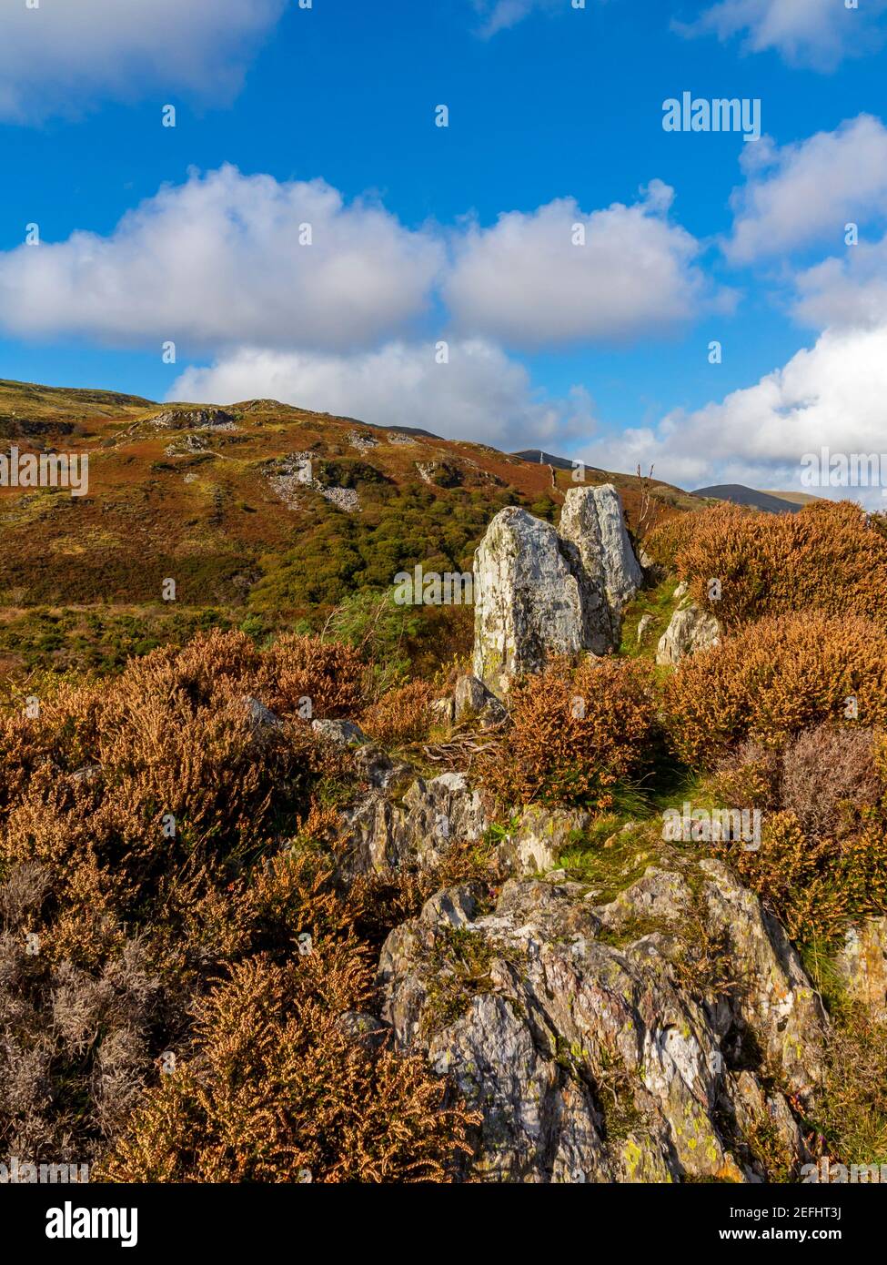 Paesaggio montano sopra l'estuario di Mawddach nei pressi di Barmouth a Gwynedd North West Wales UK vicino alla famosa passeggiata Panorama Con Snowdonia in lontananza Foto Stock