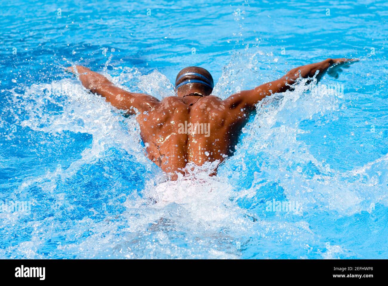 Vista posteriore di un uomo medio adulto che nuota la farfalla corsa in piscina Foto Stock
