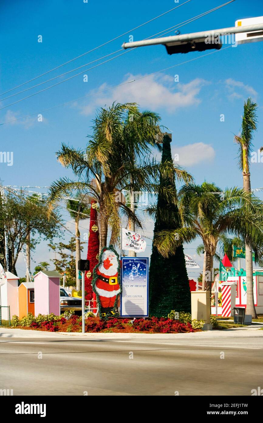 Palm Trees con una scheda informativa, Miami, Florida, Stati Uniti Foto Stock