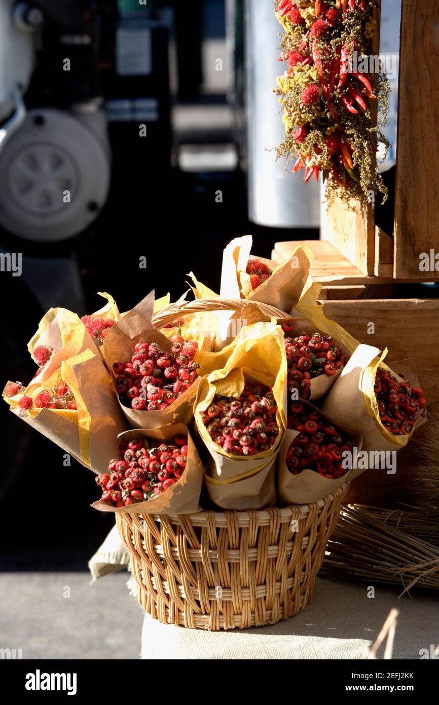 Primo piano di fragole in un cesto di vimini e peperoncino rosso peperoni appesi sopra di esso Foto Stock