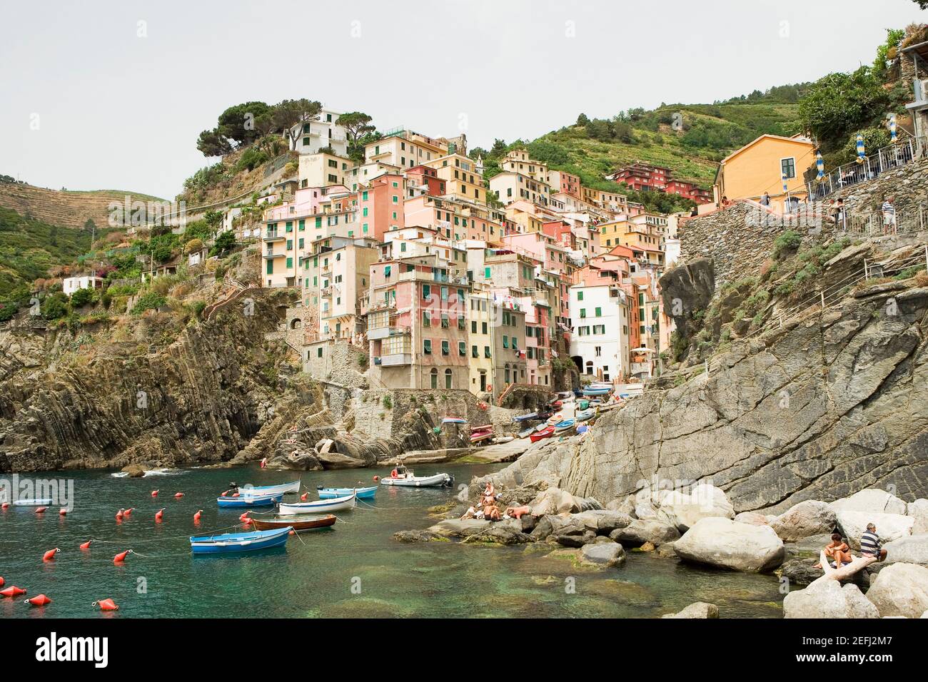 Edifici sul mare, Parco Nazionale delle cinque Terre, Riomaggiore, cinque Terre, la Spezia, Liguria, Italia Foto Stock