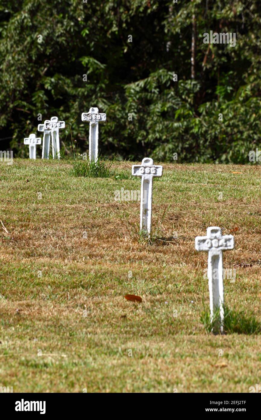 Croci metalliche dipinte di bianco per onorare coloro che sono morti nel tentativo francese di costruire il canale di Panama nel Cimitero Francese, vicino Paraiso, zona canale, Foto Stock