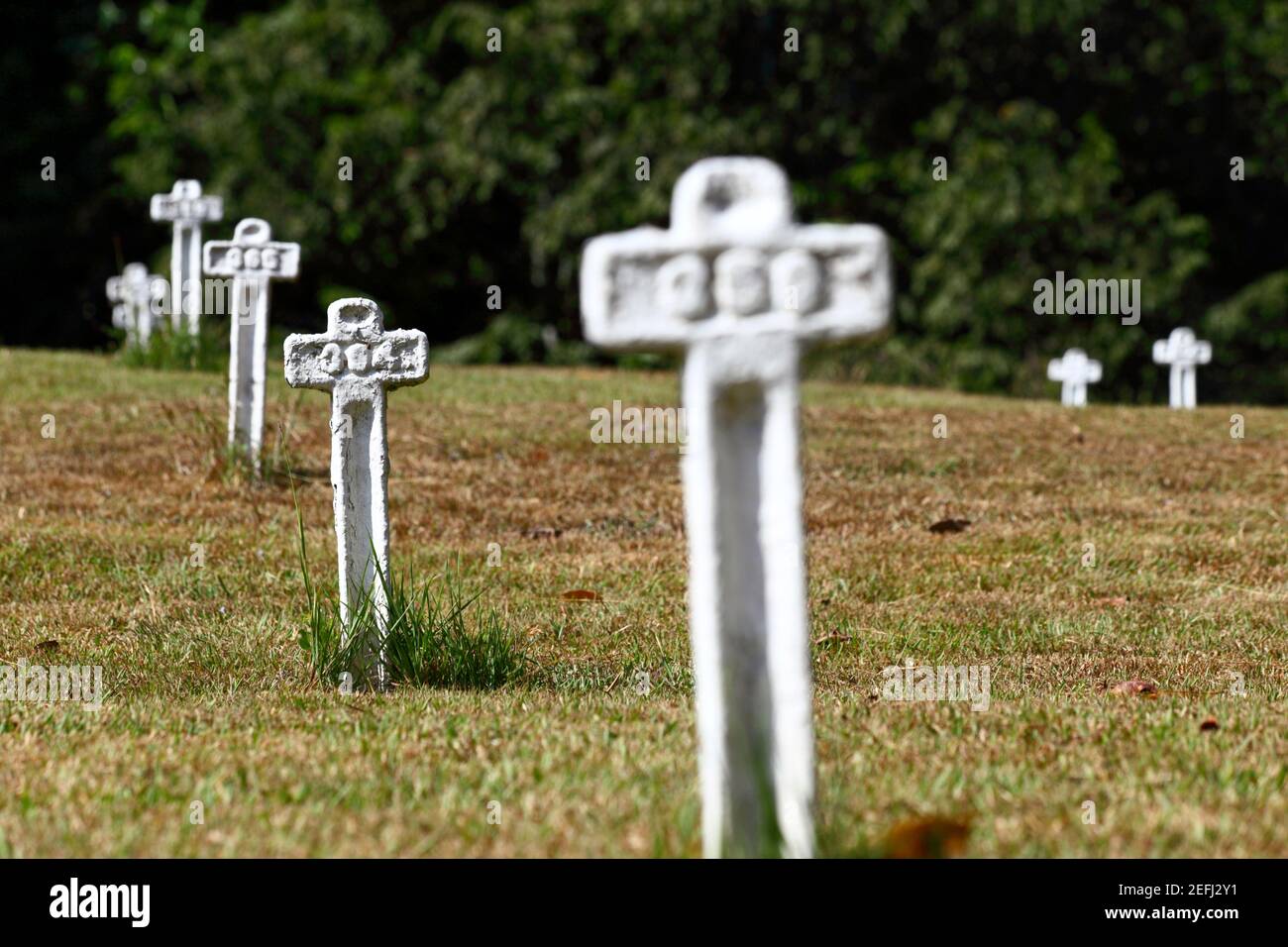 Croci metalliche dipinte di bianco per onorare coloro che sono morti nel tentativo francese di costruire il canale di Panama nel Cimitero Francese, vicino Paraiso, zona canale, Foto Stock