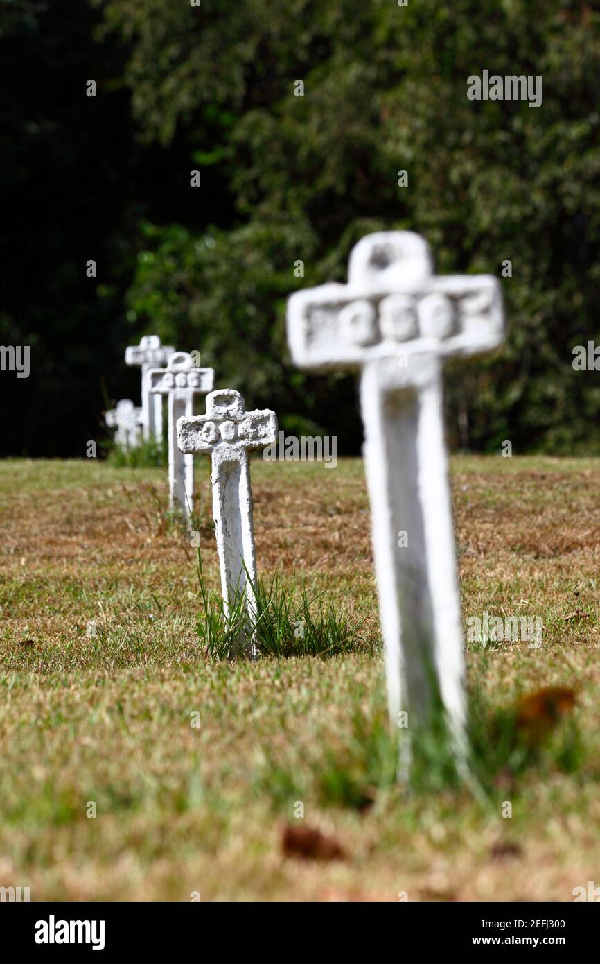 Croci metalliche dipinte di bianco per onorare coloro che sono morti nel tentativo francese di costruire il canale di Panama nel Cimitero Francese, vicino Paraiso, zona canale, Foto Stock