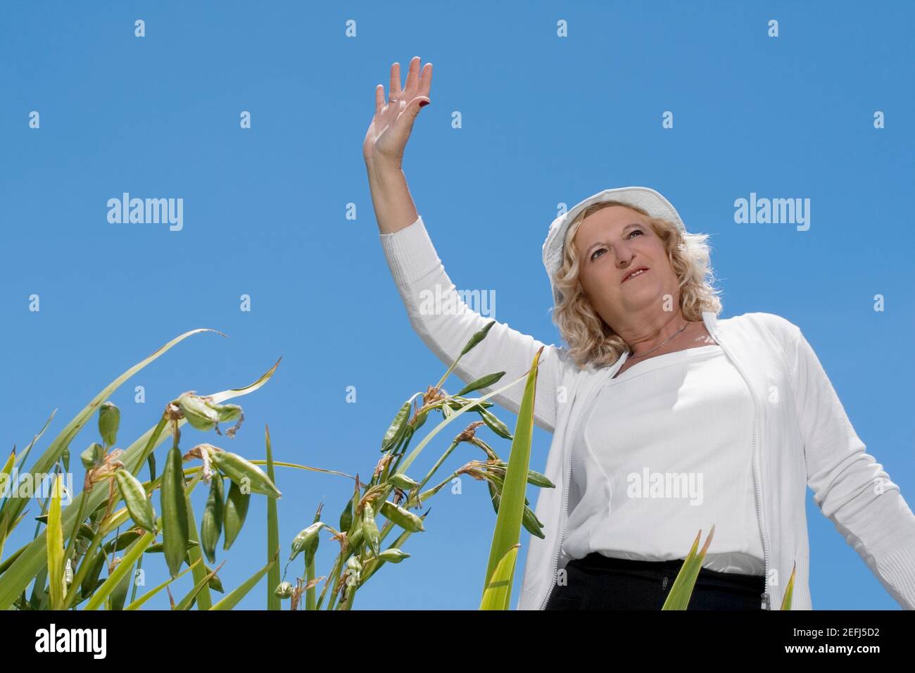 Vista ad angolo basso di una donna anziana che agita la mano Foto Stock