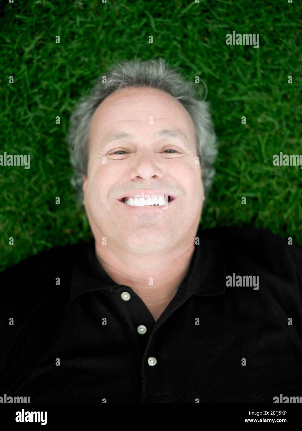 Ritratto di un uomo maturo sdraiato sull'erba e. sorridente Foto Stock