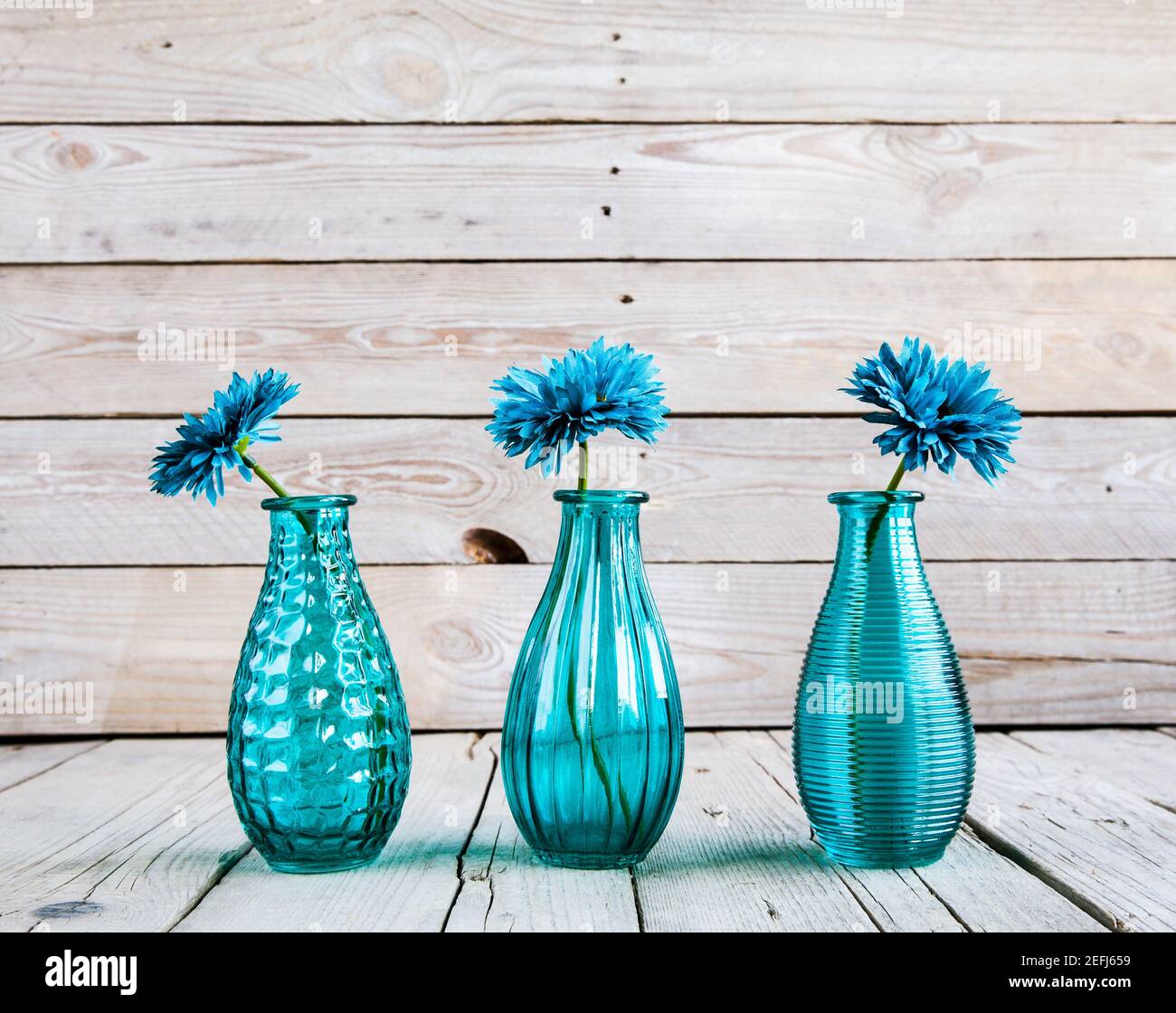 fiore di gerbera blu in un vaso su sfondo di legno e. Foto Stock