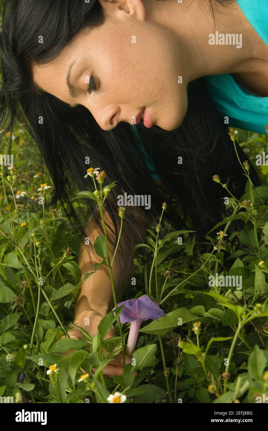 Primo piano di una giovane donna che raccoglie un fiore Foto Stock
