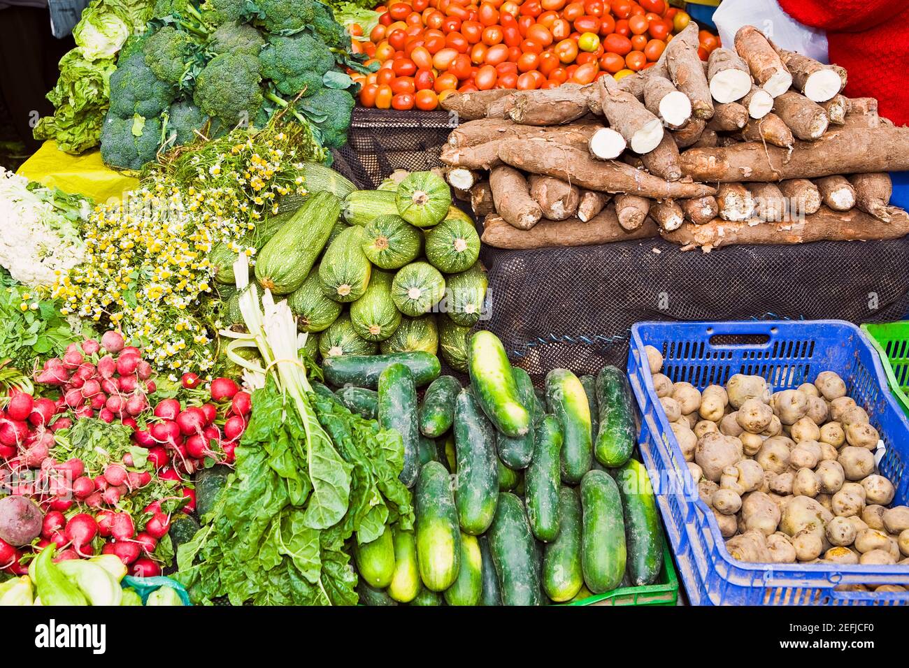 Vista ad alto angolo di verdure assortite in una bancarella di mercato, Ica, regione Ica, Perù Foto Stock