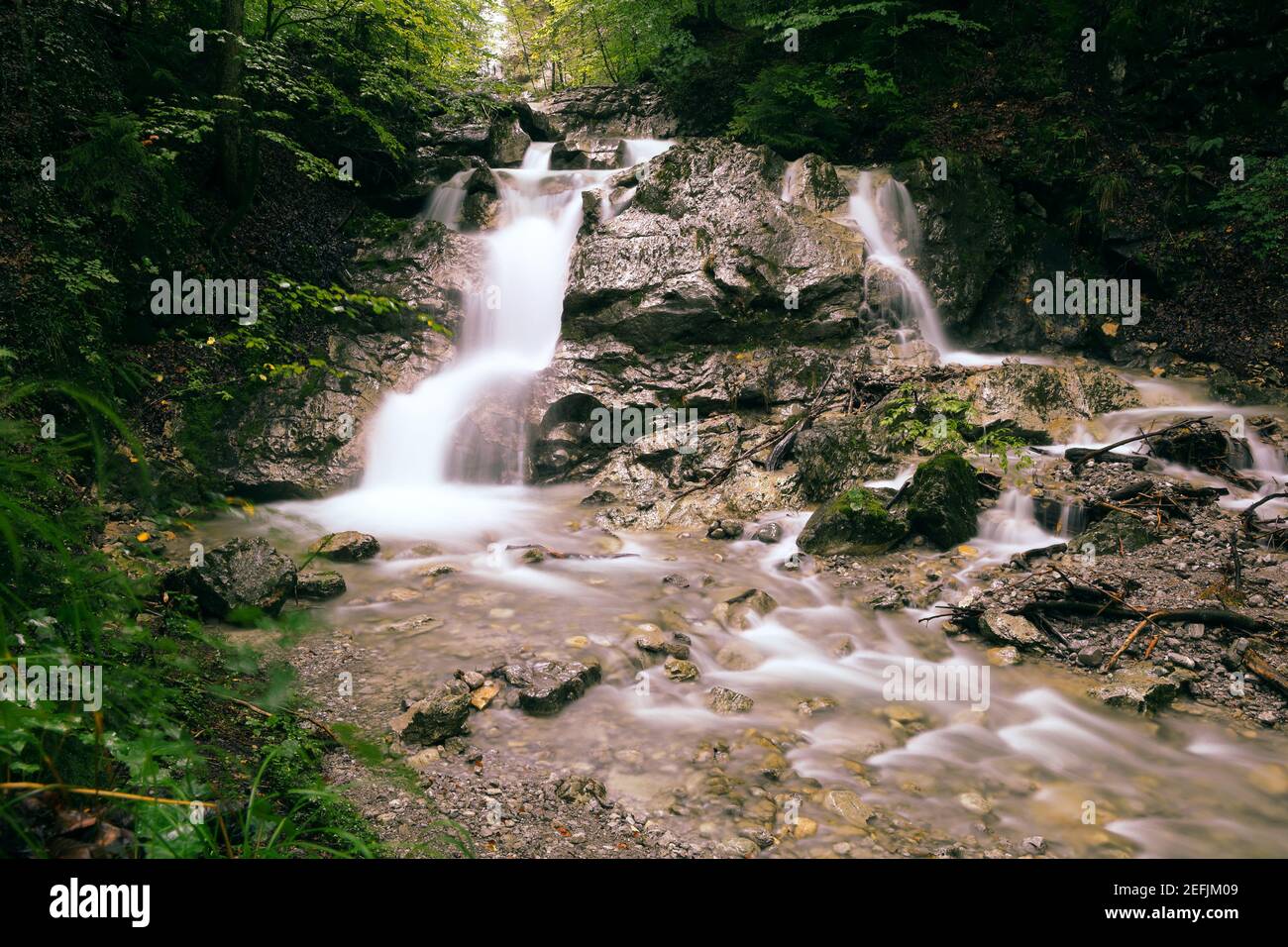 La cascata nel bosco Foto Stock