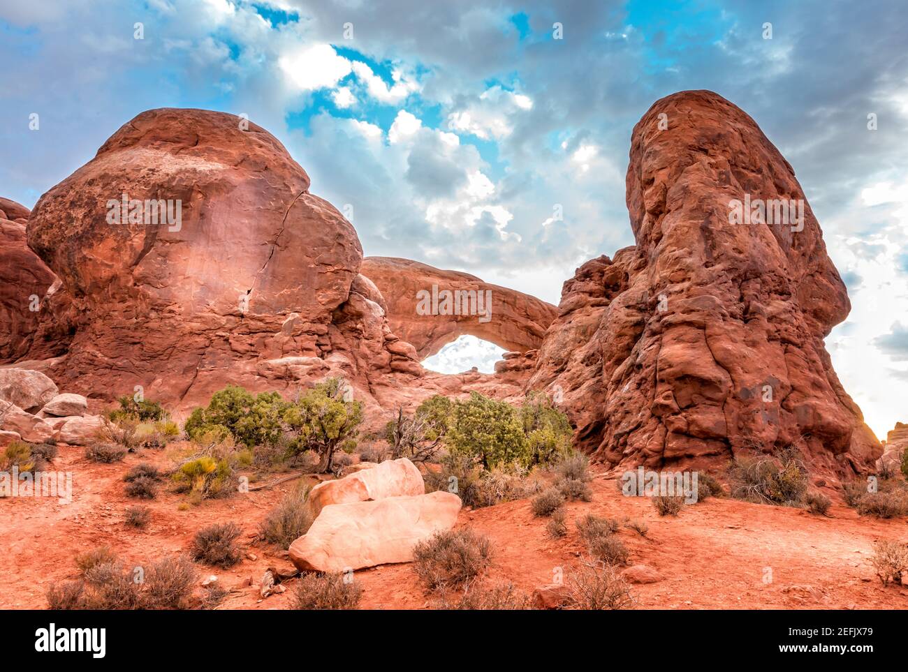 La sezione finestra, arco finestra Sud nel Parco Nazionale Arches, Utah Foto Stock