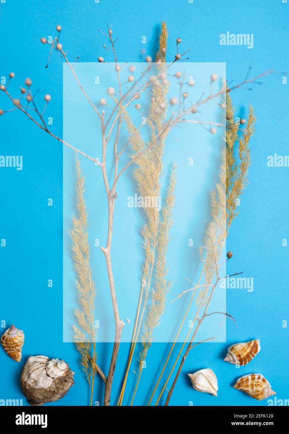 preparazione per una futura cartolina. Fiori secchi su sfondo colorato Foto Stock