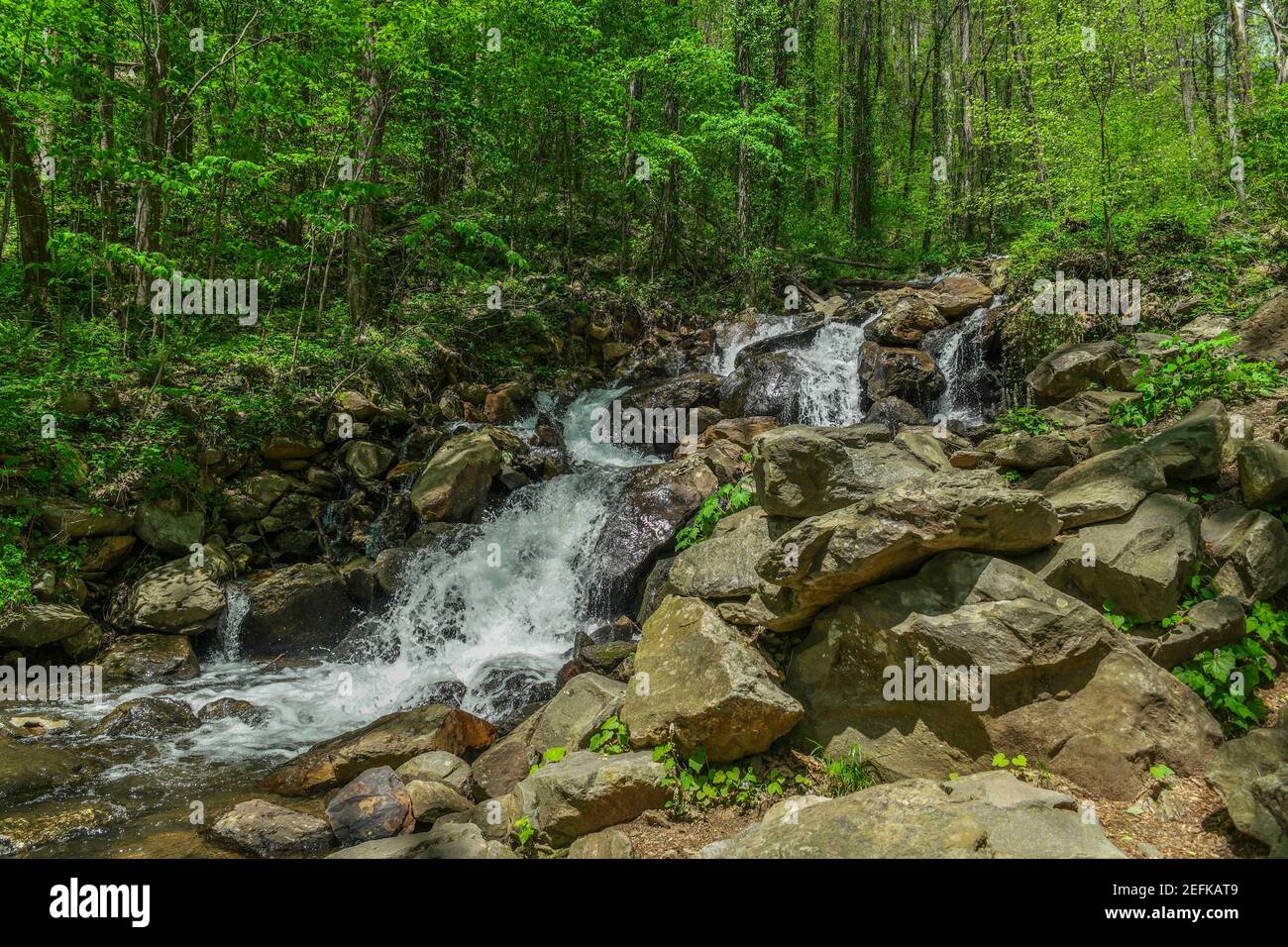 Piccola cascata con spruzzi d'acqua e tumbling sopra le rocce e massi nella foresta in una giornata di sole in primavera Foto Stock