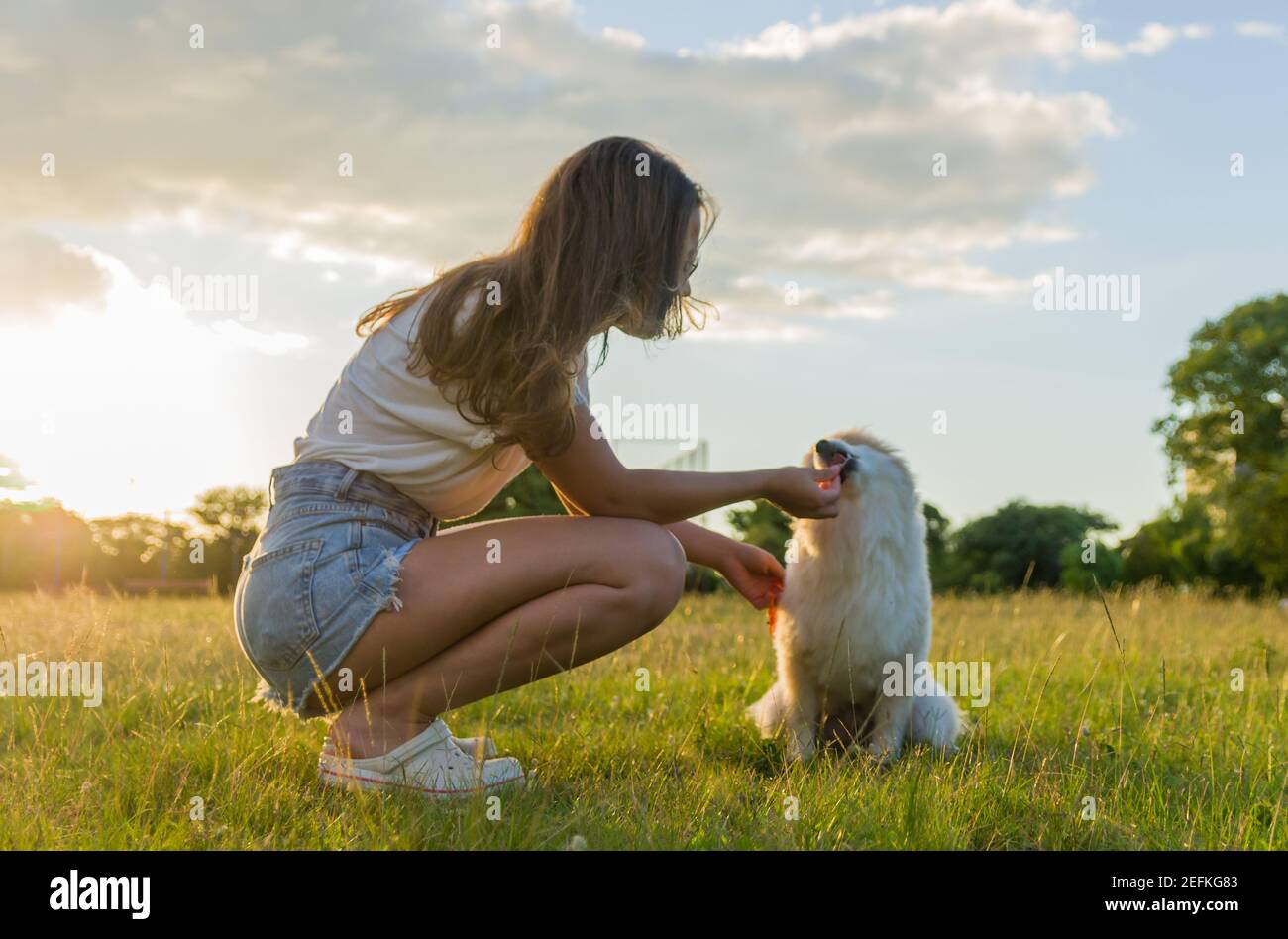Oung bella donna che gioca con il cane tedesco Spitz nel parco estivo Foto Stock