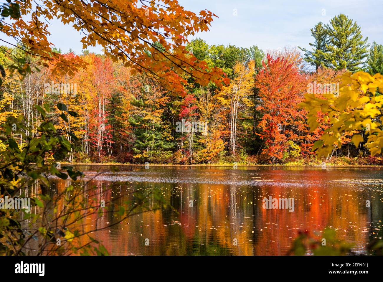 Splendidi colori autunnali lungo un fiume in una mattina soleggiata. Foto Stock
