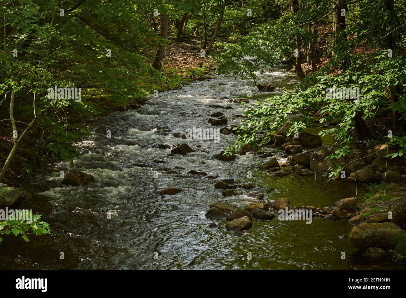 Stony Brook, Delaware Water Gap National Recreation Area, New Jersey, USA Foto Stock