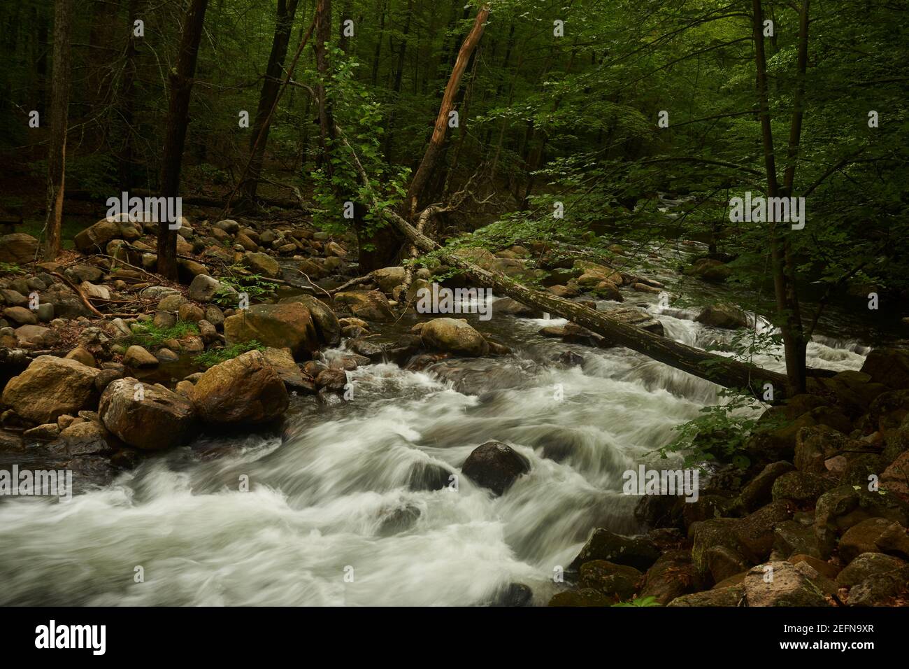 Stony Brook, Delaware Water Gap National Recreation Area, New Jersey, USA Foto Stock
