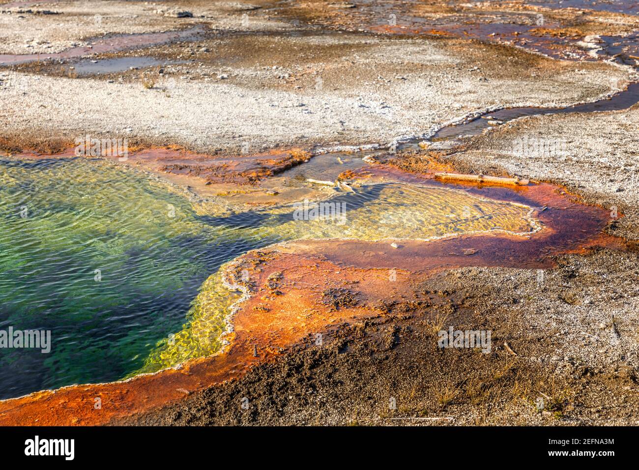 Abisso in piscina a Yellowstone di colori vivaci causata da batteri termofili Foto Stock