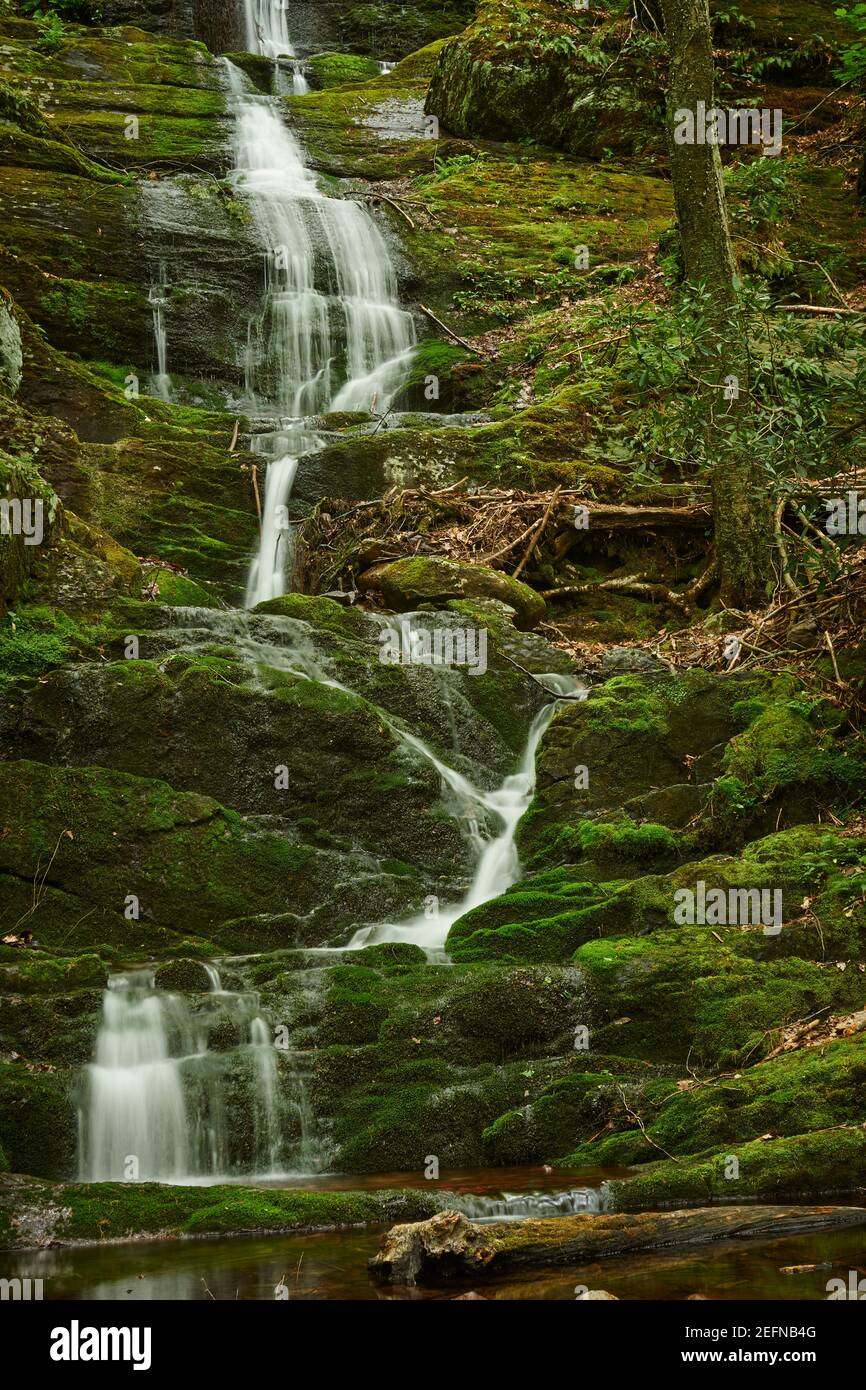 Buttermilk Falls in Springtime, Delaware Water Gap National Recreation Area, New Jersey, USA Foto Stock