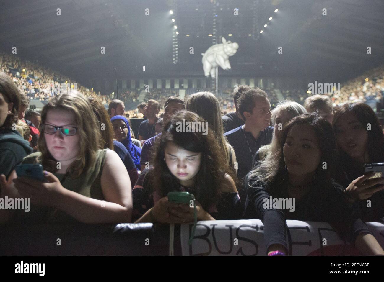 Viste generali del concerto di Busted presso la SSE Wembley Arena nella notte di apertura del loro Pigs Can Fly tour, il loro primo concerto dal 2005 Foto Stock