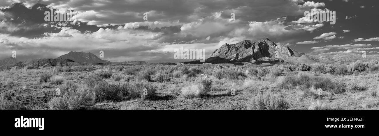 Immagine panoramica del Monte Ellsworth (centro a destra) preso da vicino Ticaboo, Utah. Foto Stock