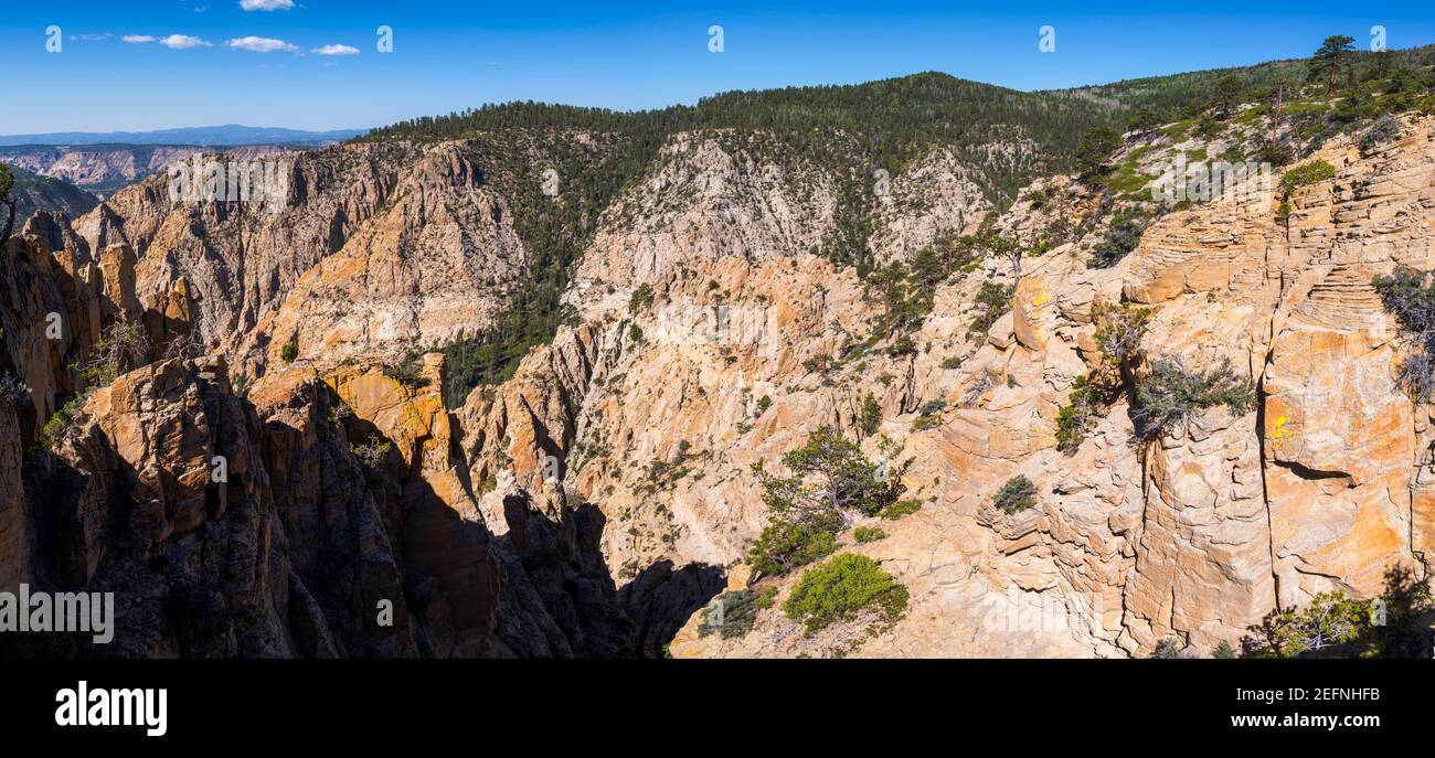 Vista da Hells Backbone Road, vicino a Escalante e Boulder, Garfield County, Utah, USA, in una splendida giornata estiva. Foto Stock