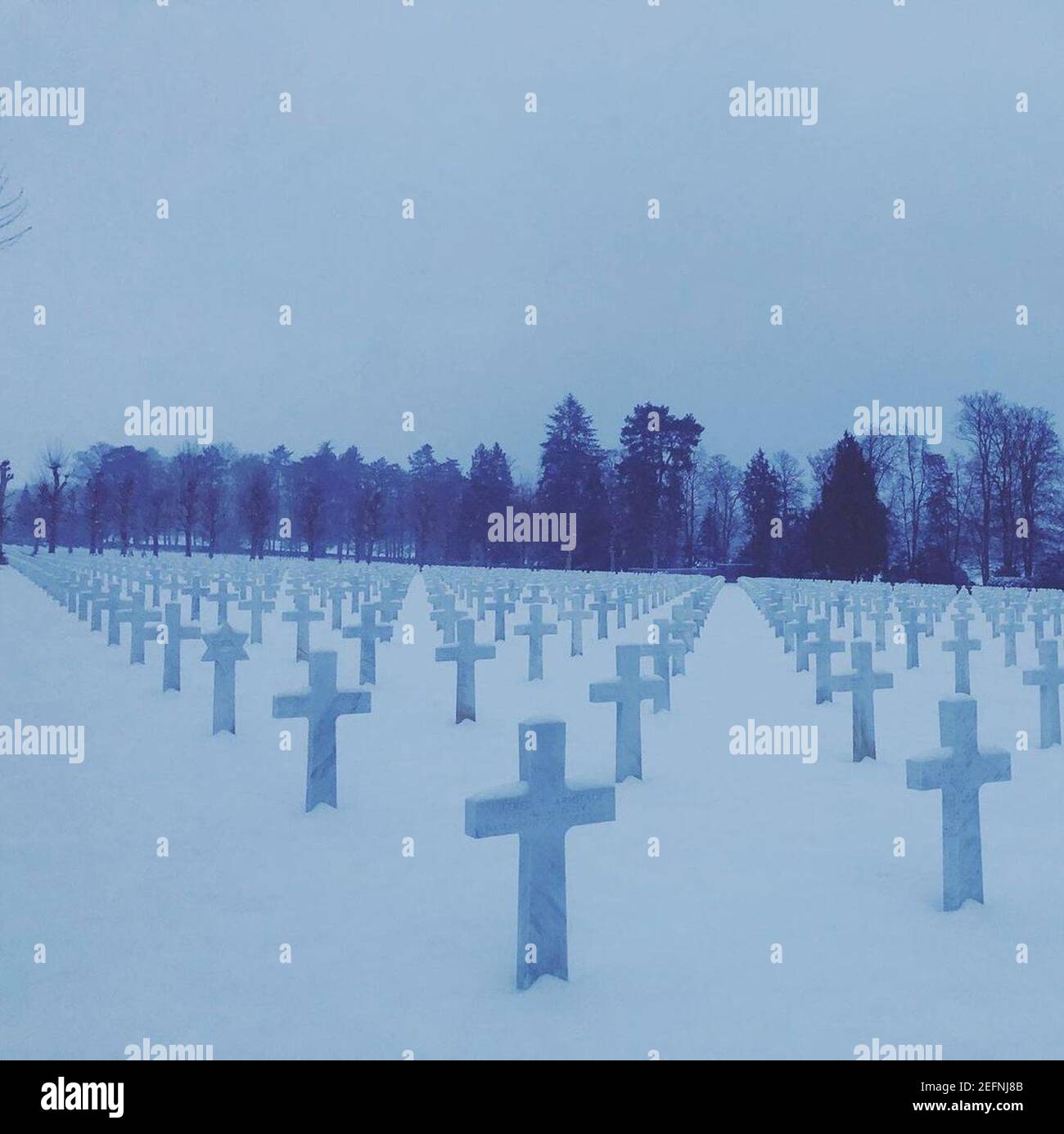 Cimitero americano Oise-Aisne il 2021-01-22. Foto Stock