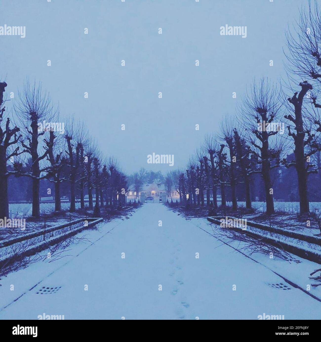 Cimitero americano Oise-Aisne il 2021-01-21. Foto Stock