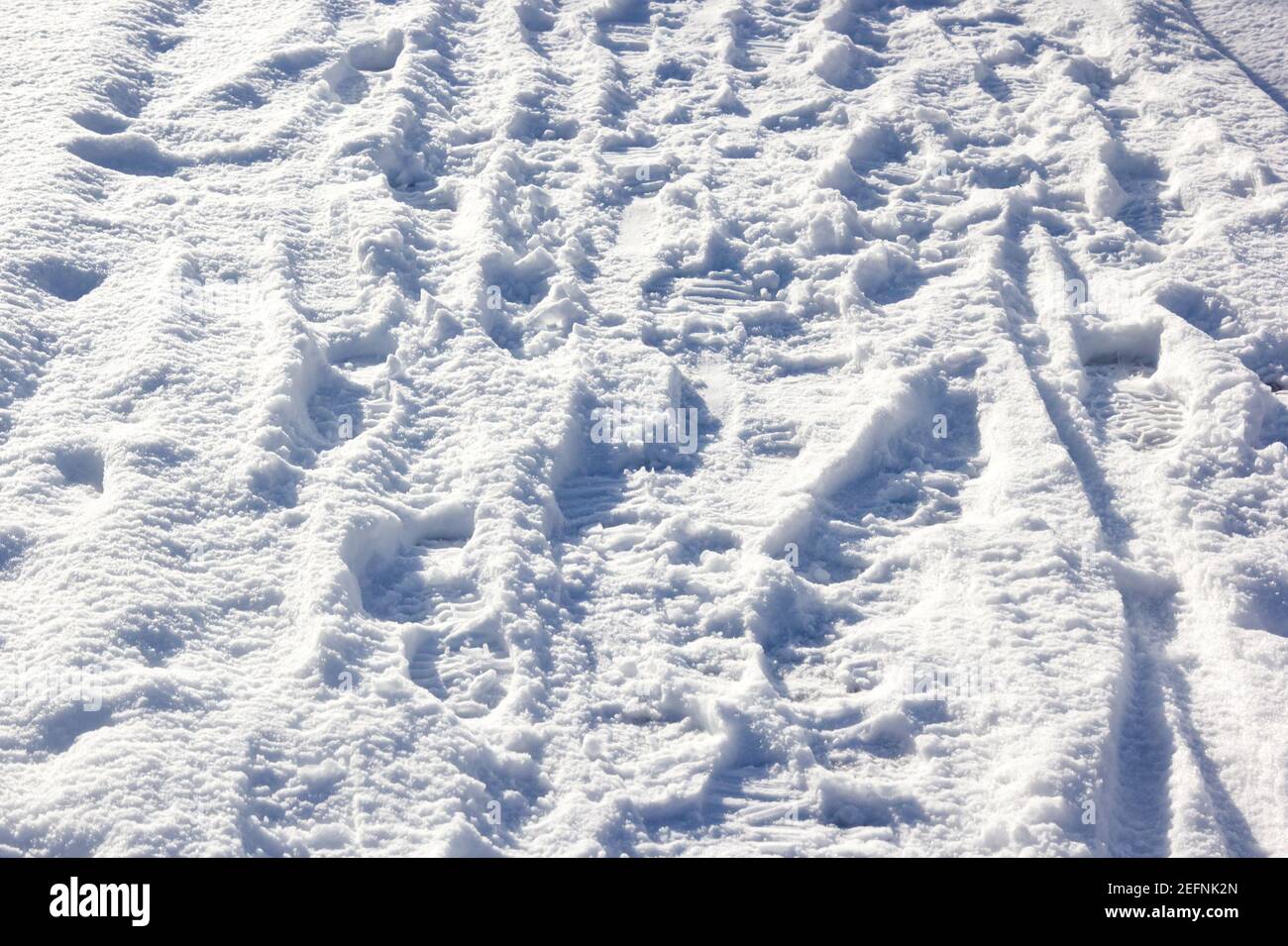 Impronte in neve appena caduta nel gennaio 2021, Perton, Regno Unito Foto Stock