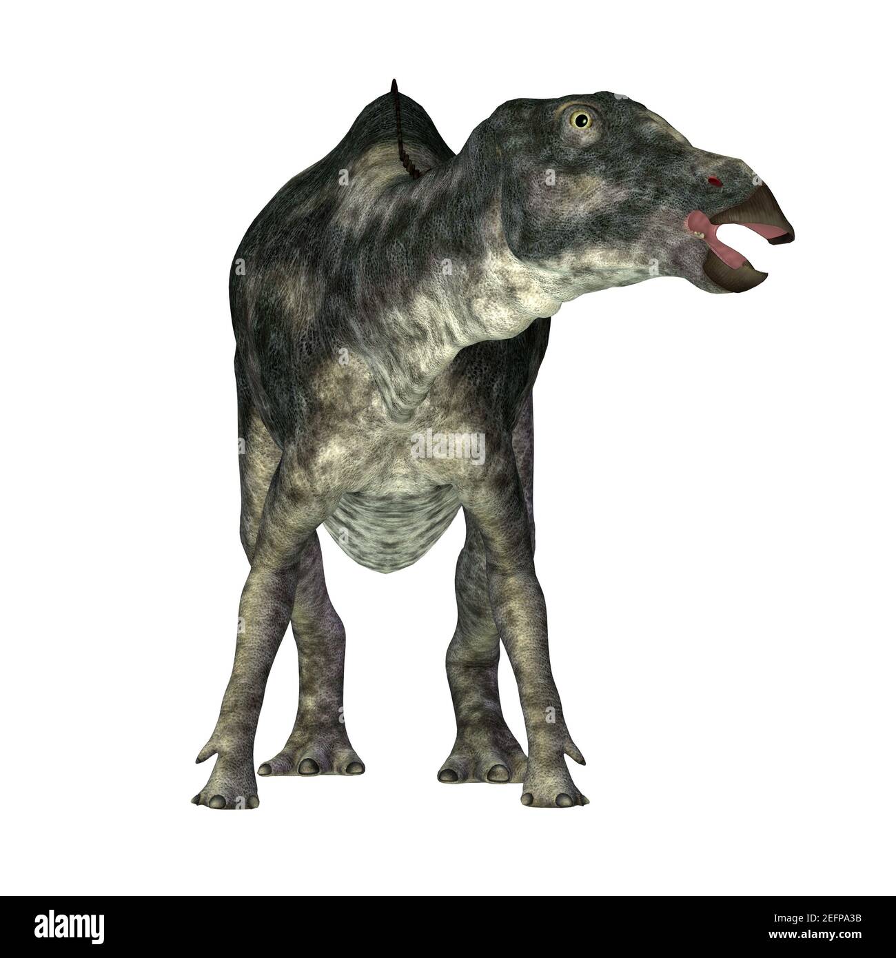 La Maiasaura era un dinosauro erbivoro di Hadrosaur incatenato dall'anatra che visse nel Montana durante il periodo Cretaceo. Foto Stock