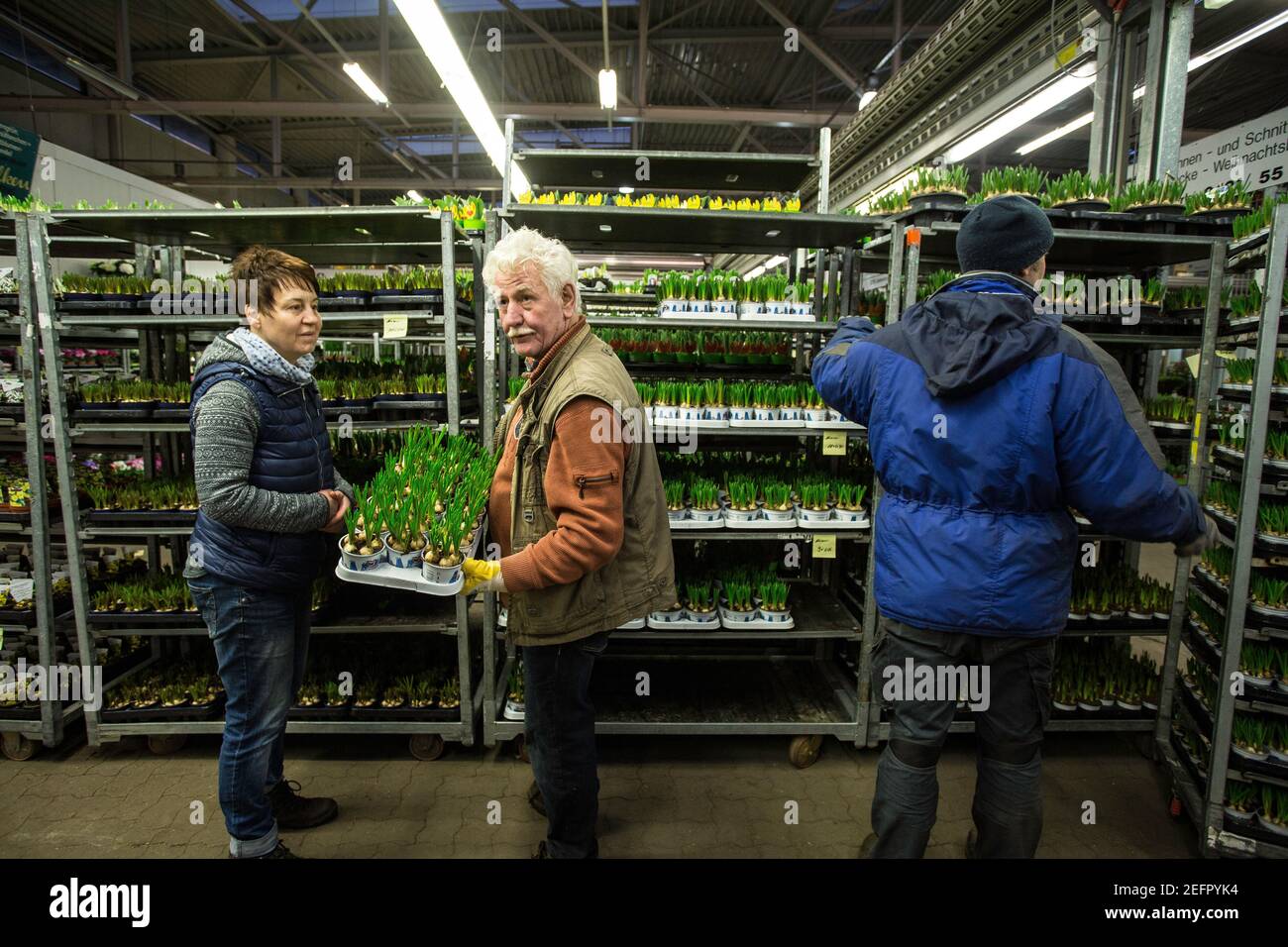 Mercato dei fiori e delle piante a Brema, Germania Foto Stock Mercato dei fiori e delle piante a Brema, Germania Foto Stock
