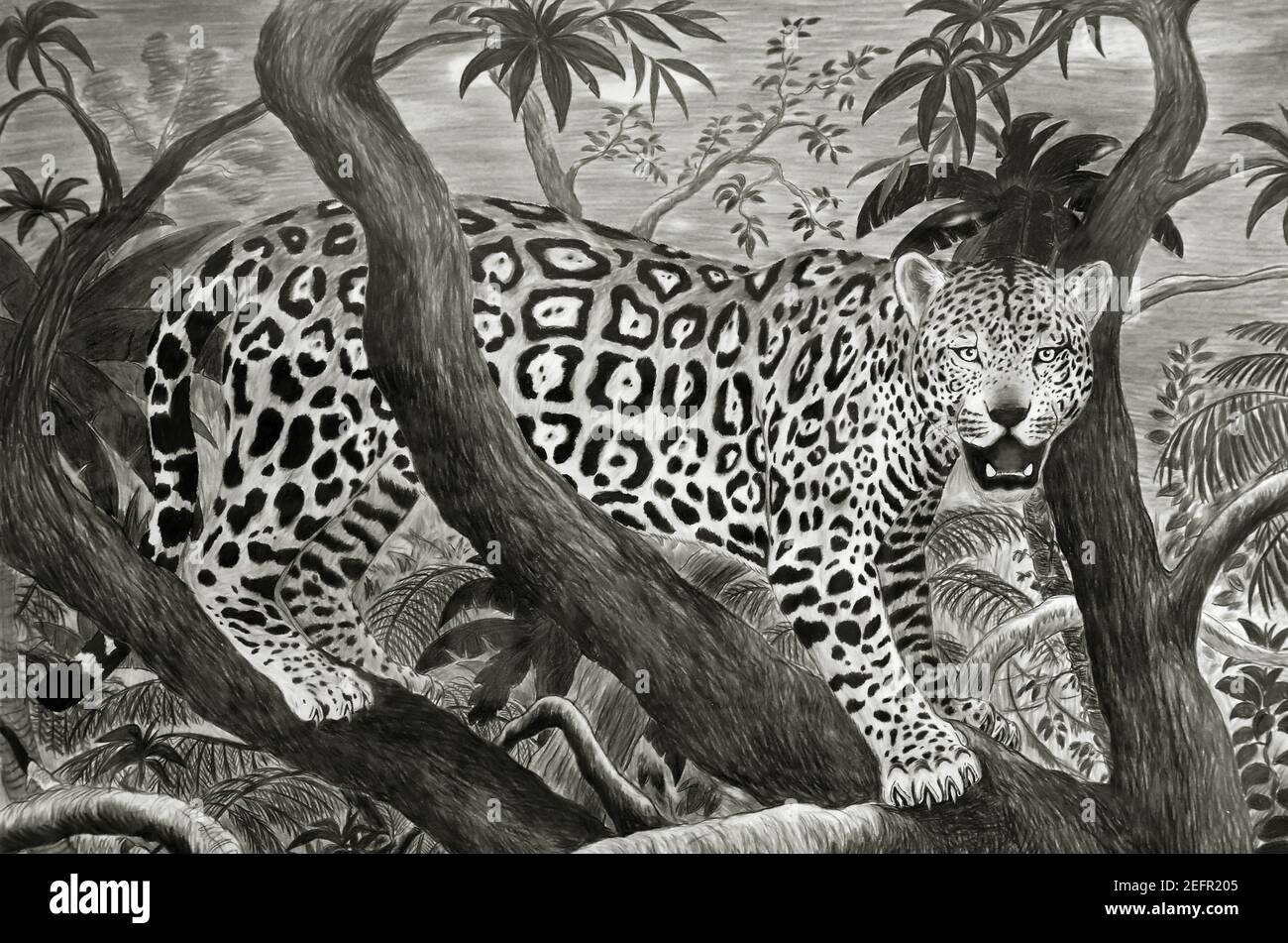 disegno pastello di jaguar nella giungla amazzonica Foto Stock