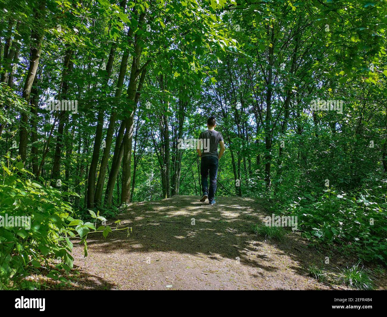 Uomo in t-shirt al bordo della collina in parco con alberi sottili Foto Stock