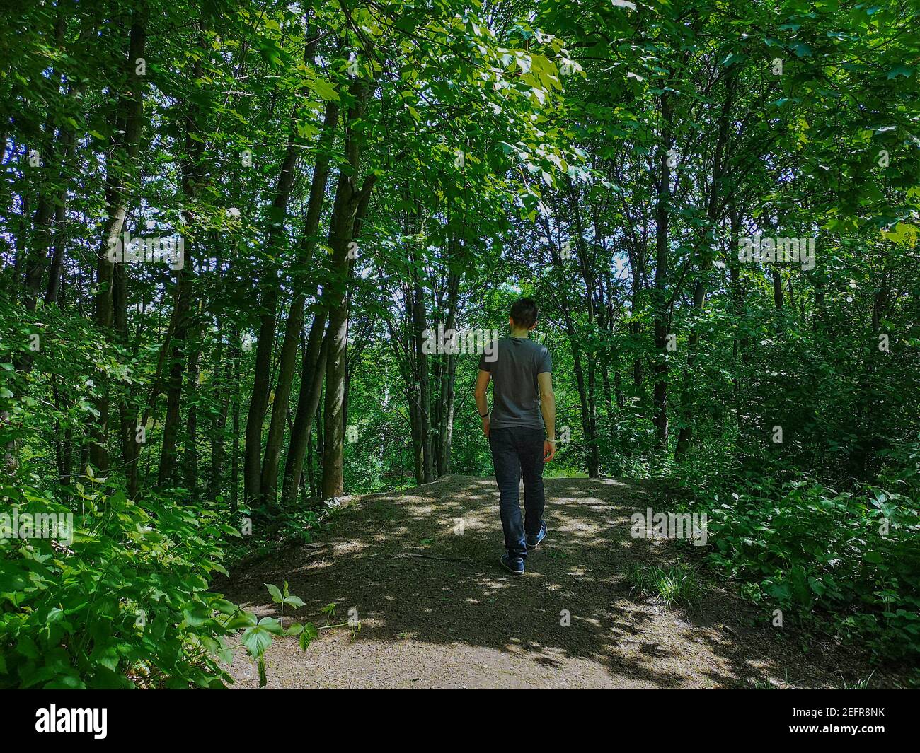 Uomo in t-shirt al bordo della collina in parco con alberi sottili Foto Stock