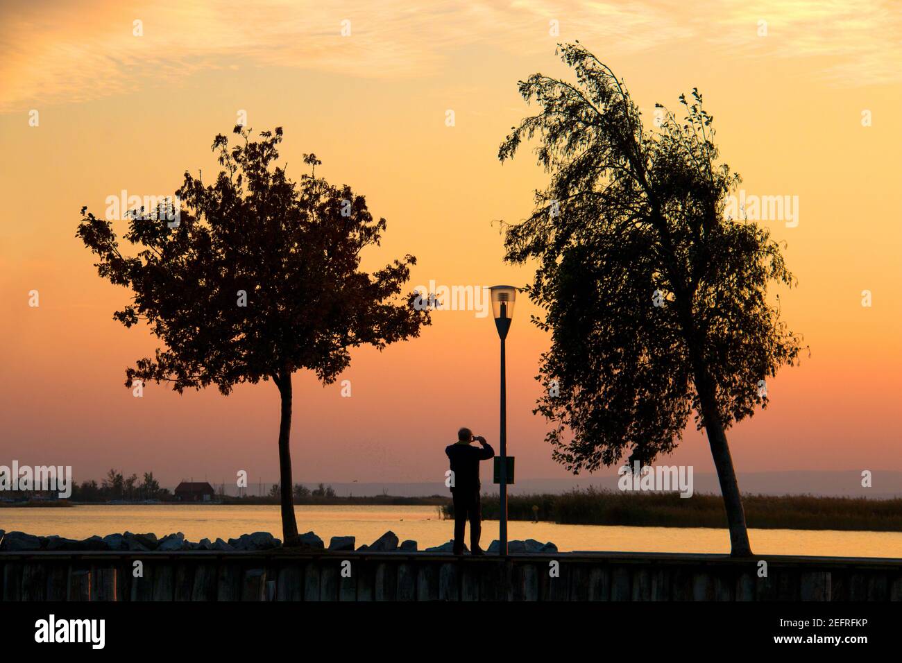 Paesaggio del tramonto con silhouette di due alberi, lampada e uomo con smartphone mentre si scattano foto di un cielo crepuscolo dai colori caldi sopra il Neusi Foto Stock