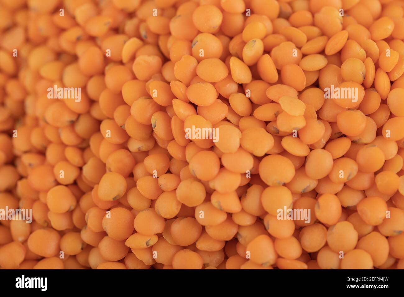 Mucchio di lenticchie rosse non cotte come sfondo Foto Stock