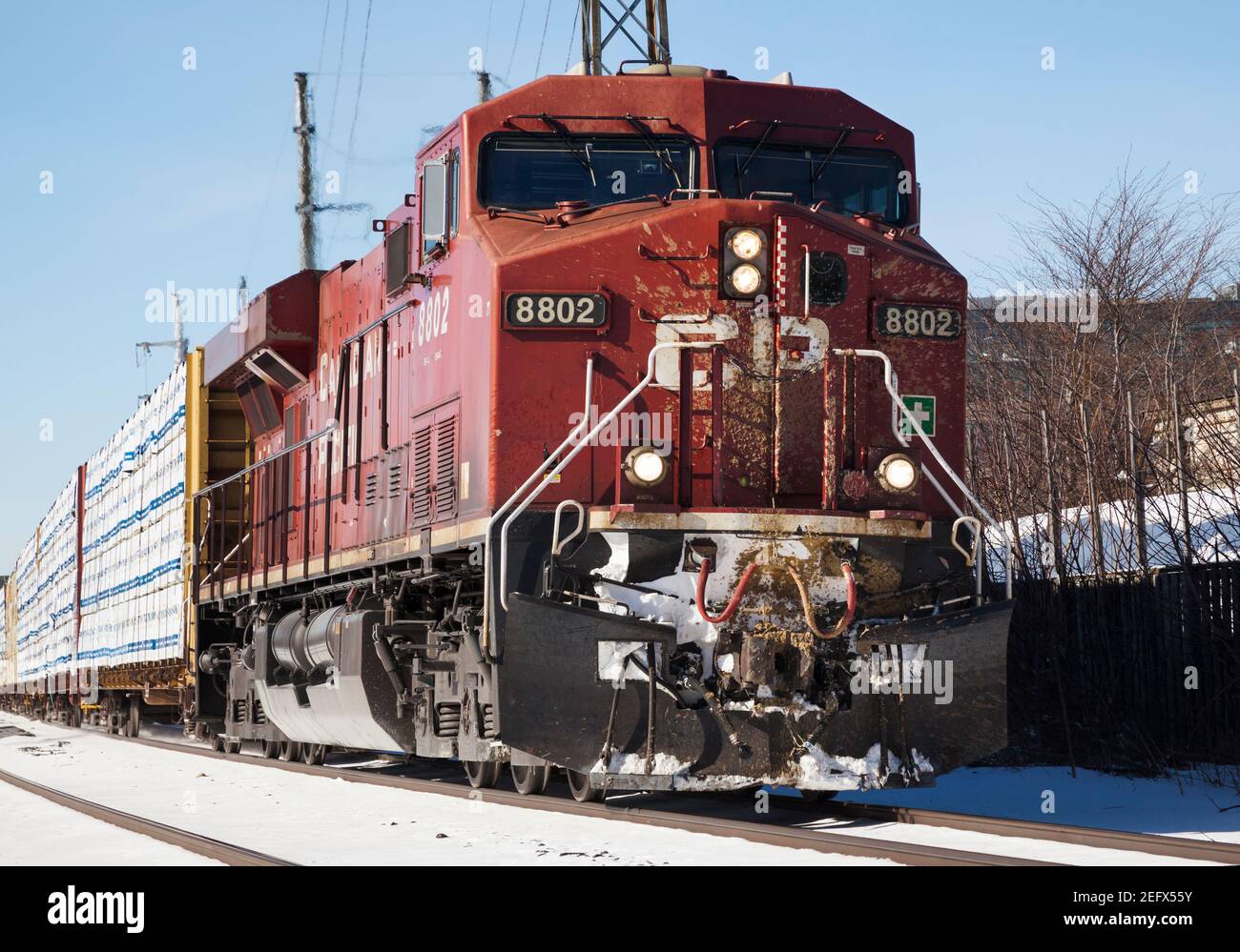 Il treno merci della CP Rail srotolava verso Toronto mostrando i cartelli di una recente collisione con un alce Foto Stock